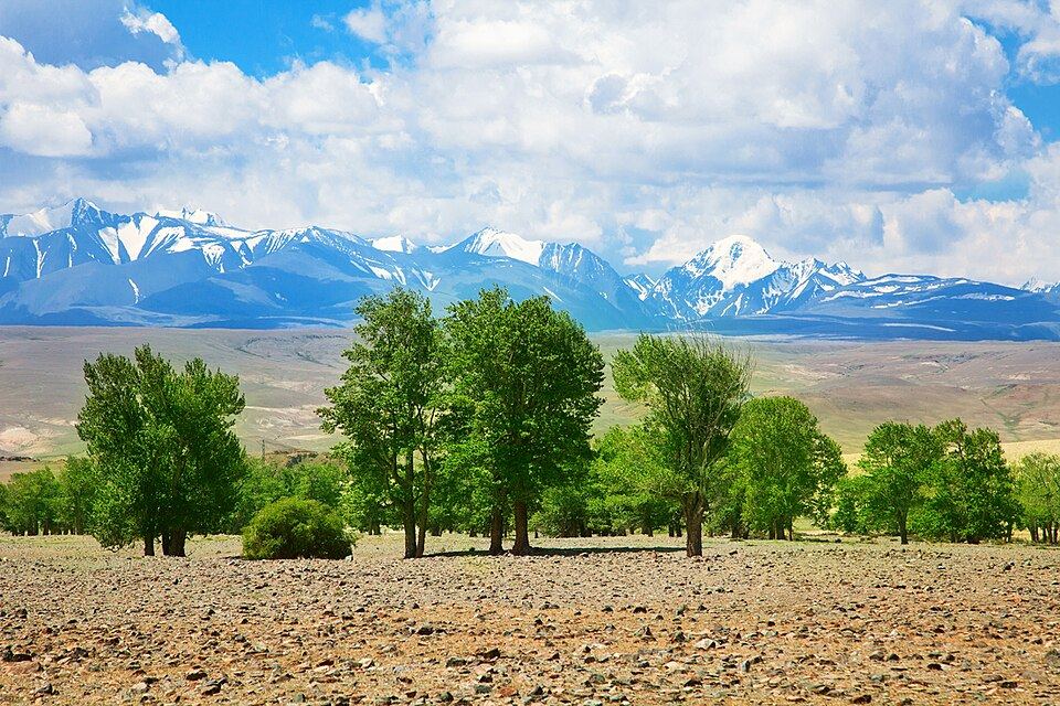 Montagnes dorées de l'Altaï, Russie