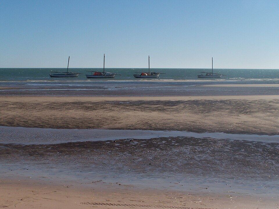 parc national du Banc-d'Arguin, Mauritanie