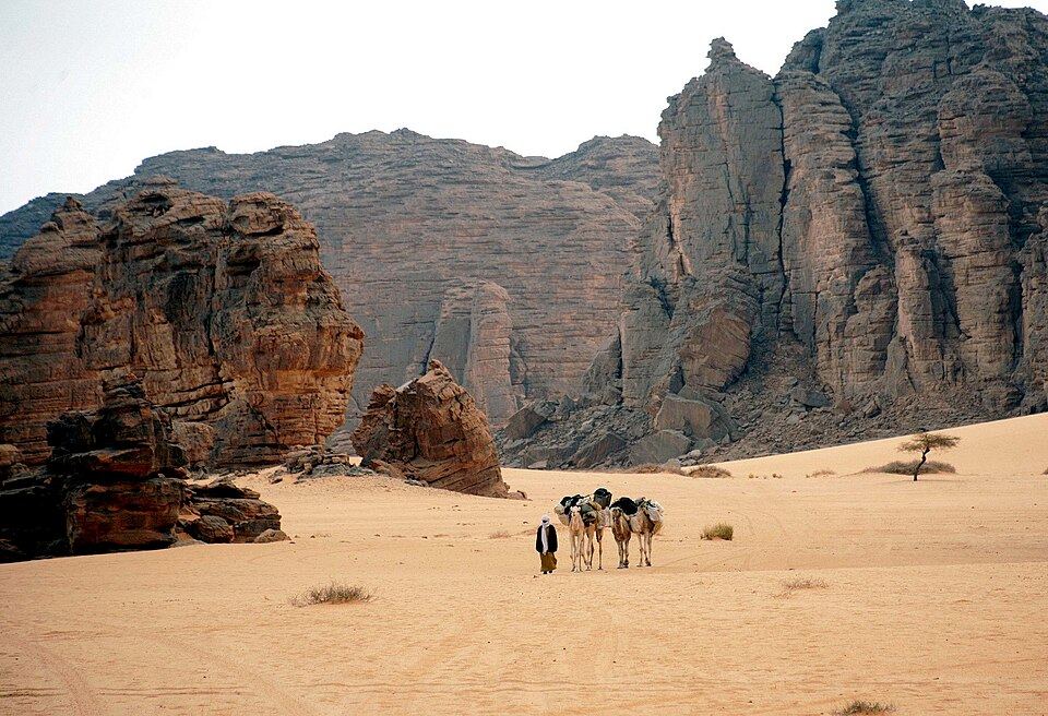 طاسيلي ناجر، الجزائر (2009)