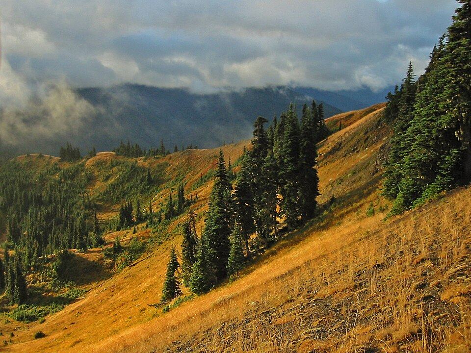 parc national Olympique, États-Unis (2005)