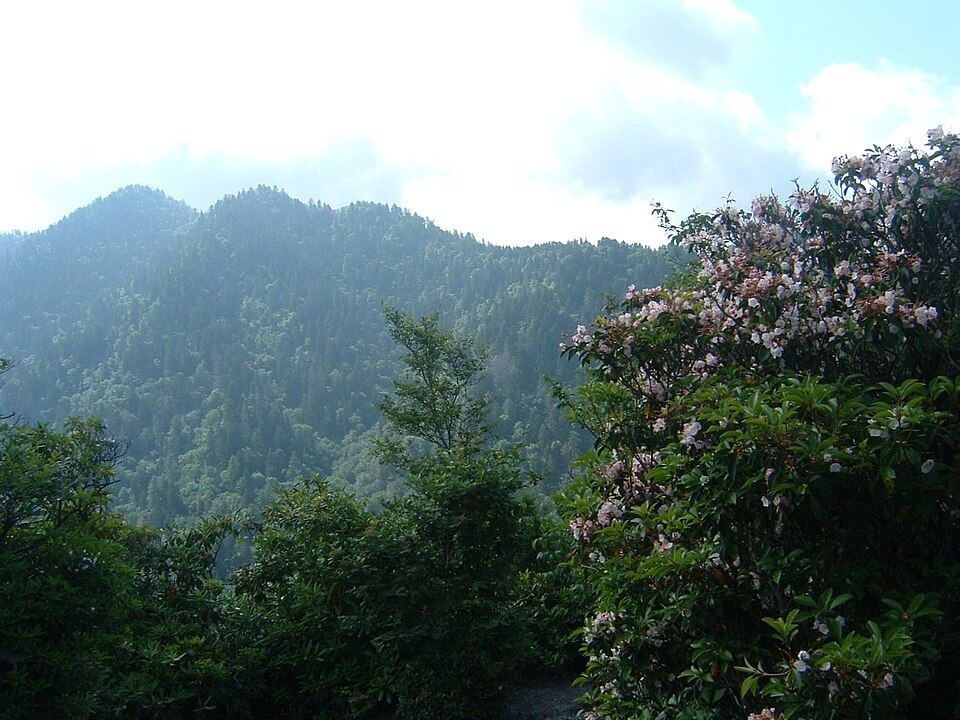 parc national des Great Smoky Mountains, États-Unis (2005)