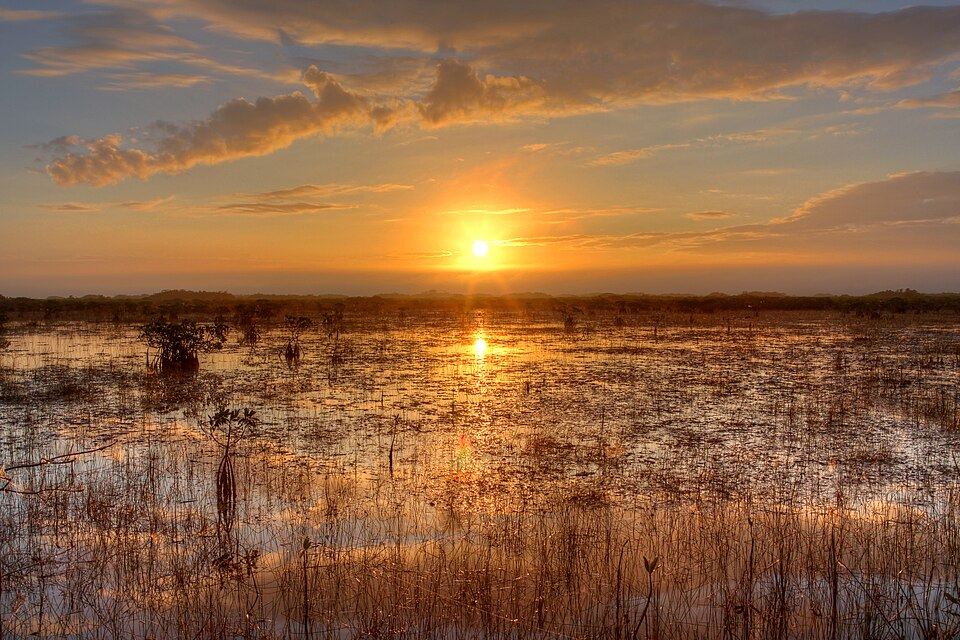 parc national des Everglades, États-Unis (2013)